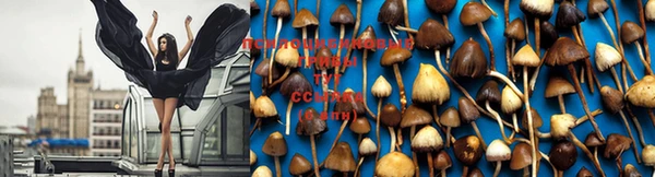 дистиллят марихуана Магас