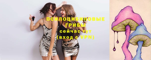 тгк Магадан