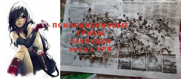 тгк Магадан
