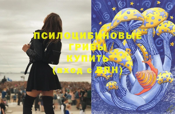 mdma Майский