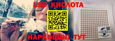 эйфоретик Гатчина