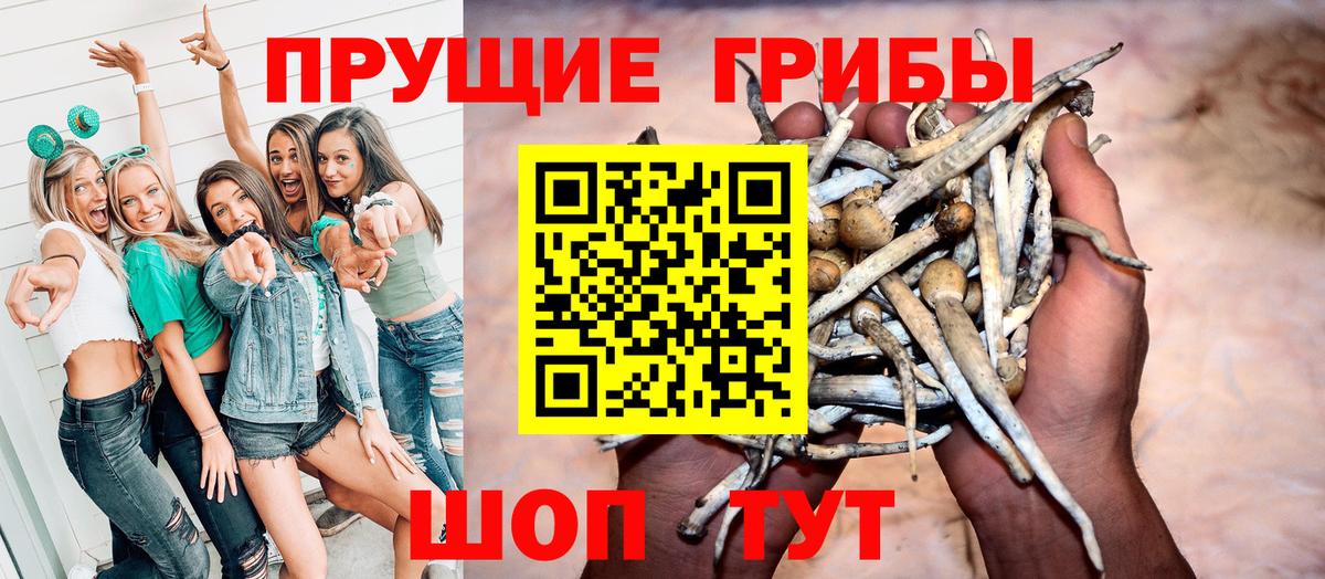 Псилоцибиновые грибы MAGIC MUSHROOMS  Галлюциногенные грибы ЛСД  Вход с VPN  Комсомольск-на-Амуре 